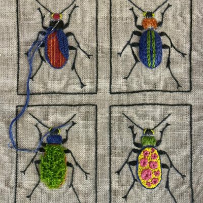 Amy. Insekter b stor